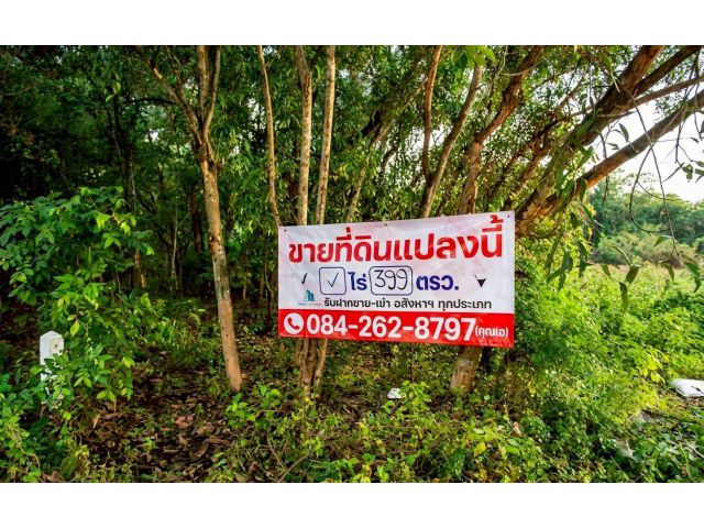 ขายที่ดินในสนามกอล์ฟ ไพน์เฮิร์สท พหลโยธิน