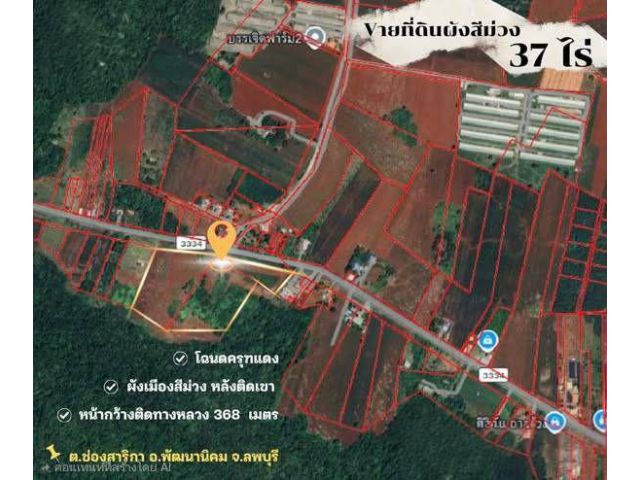 ขายที่ดินเปล่า เนื้อที่ 37-1-67 ไร่ ต.ช่องสาริกา อ.พัฒนานิคม จ.ลพบุรี