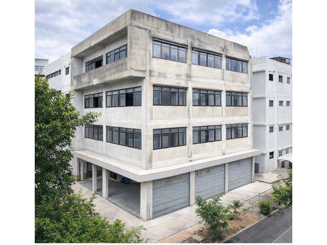 ดอกไม้ ประเวศ หใกล้ตลาดนัดนัมเบอร์วัน ราม 2 700 ม.นักกว่าเธอก็เจอมาแล้ว อาคารพาณิชย์ 4 ชั้นครึ่ง 2คูหา 4นอน