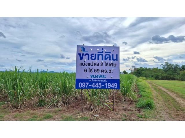 ขายที่ดิน 6 ไร่ 59 ตรว. ต.หนองสาหร่าย อ.ปากช่อง จ.นครราชสีมา