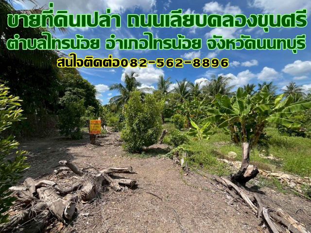 ขายที่ดินเปล่า ถนนเลียบคลองขุนศรี ไทรน้อย นนทบุรี