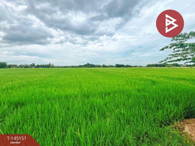 ขายที่ดิน เนื้อที่ 27 ไร่ 96 ตร.วา ดอนเจดีย์ สุพรรณบุรี