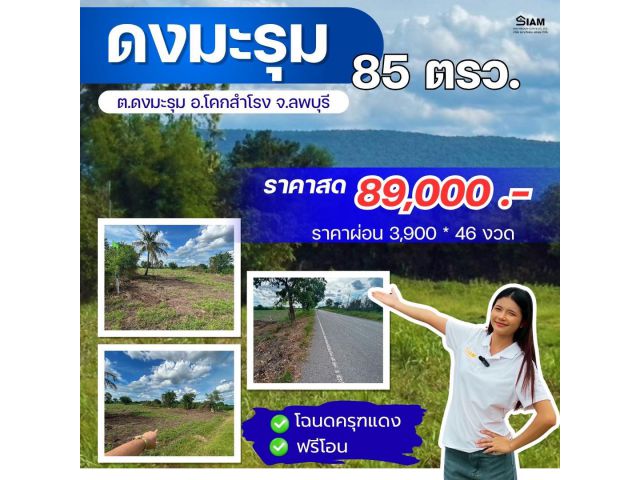 ดงมะรุม โคกสำโรง ลพบุรี 85 ตร.วา