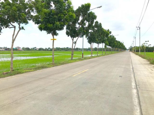 ที่ดินเปลา 25 ไร่. ย่านลำลูกกาคลอง 6 หน้ากว้างตามถนนคอนกรีต 500 เมตร แปลงสวย ใกล้ถนนกาญจนาภิเษก ใกล้สวนสัตว์เขาดิน