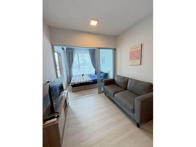 ให้เช่า คอนโด Plum Condo Sukhumvit 62 เนื้อที่ 30 ตารางเมตร ชั้น 4 พร้อมเข้าอยู่ ใกล้ BTS บางจาก