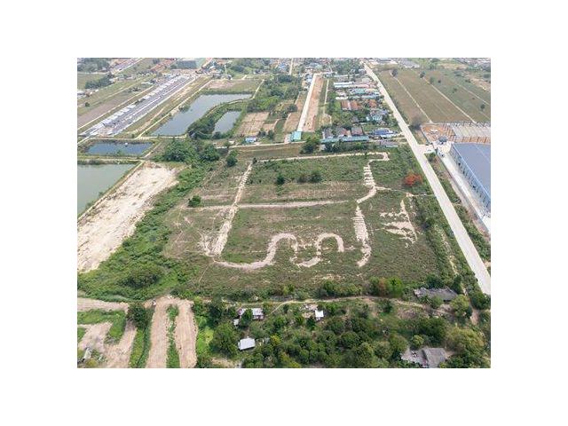 ขายที่ดินผังสีม่วงลาย นิคมพัฒนา ซอย 12 ระยอง 36 ไร่ ติดถนน