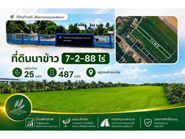 ขายที่ดินนาข้าว 7 ไร่ ทำเลดี ตรงข้ามโรงพยาบาลส่งเสริมสุขภาพ ต.หนามแดง อ.เมืองฉะเชิงเทรา