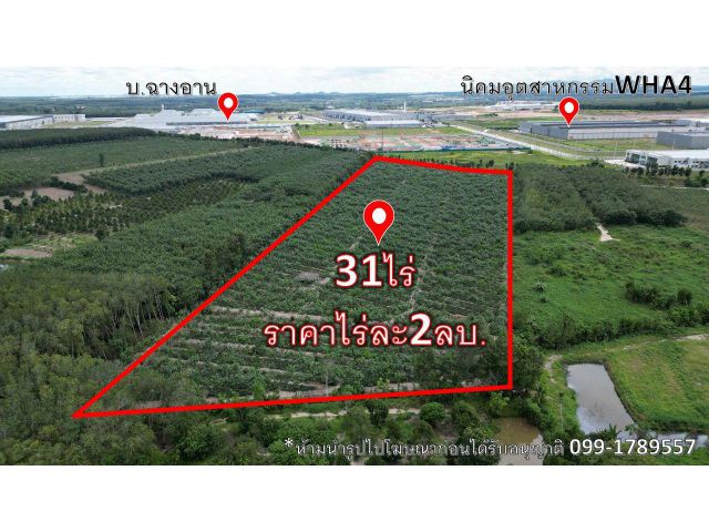 ขายที่ดิน ต.แม่น้ำคู้31ไร่