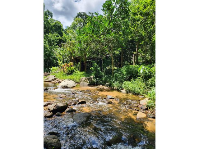 ขายที่สวนมีลำธารน้ำผ่านบ้านปางจำปีห้วยแก้วแม่ออนเอกสารครอบครองสิทธิ์