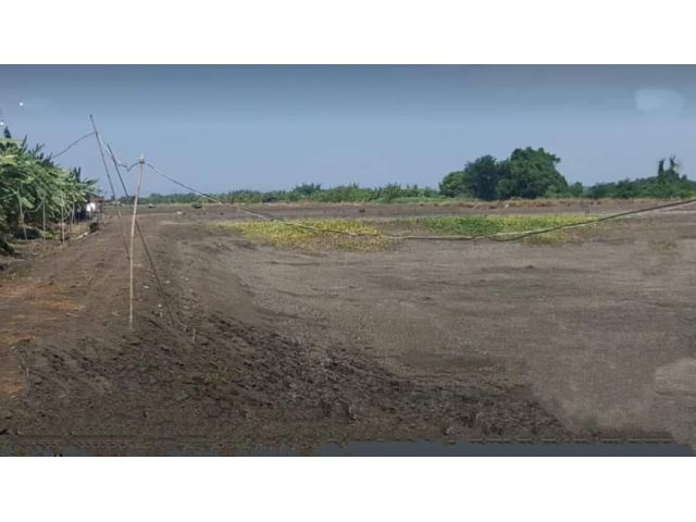 L1576 ขายที่ดิน 49 ไร่ บางบ่อ สมุทรปราการ