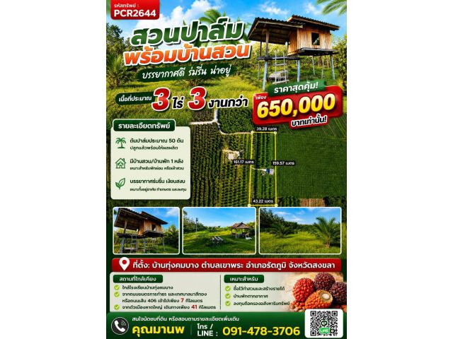 pcr2644 ที่ดินเป็นสวนปาล์ม ต.เขาพระ อ.รัตภูมิ จ.สงขลา