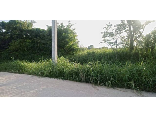 L1587 ขายที่ดิน 4 ไร่ บ้านบึง ชลบุรี