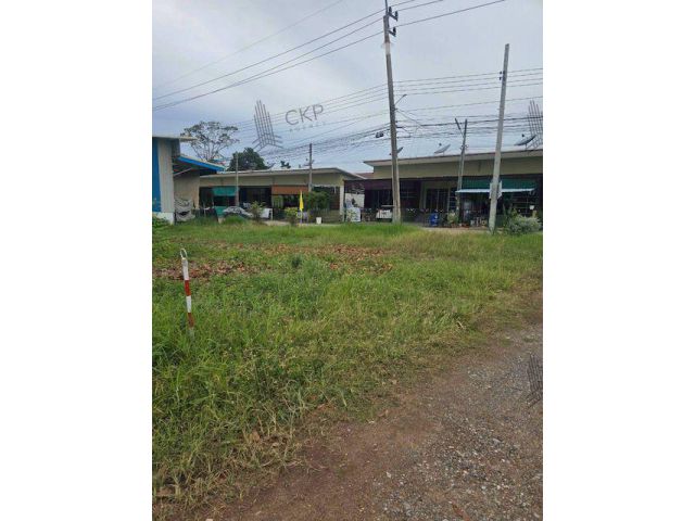 ขายด่วน! ที่ดินติดถนนสาธารณะ ขนาด 2 งาน 95 ตร.วา ทำเลสัตหีบ ห่างจากถนนสุขุมวิทเพียง 850 เมตร เหมาะสำหรับซื้อไว้ปลูกบ้าน
