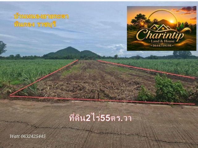 ที่ดินราชบุรีราคาถูก เนื้อที่ 2 ไร่ 55 ตารางวา ติดถนนลาดยางไฟฟ้าประปาพร้อม พิกัดบ้านทุ่งไล่ไก่ใกล้บ้านหนองยายกะตา