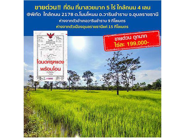 ขายด่วน!! ที่ดิน ที่นา 5 ไร่ ทำเลสวยงาม ใกล้ถนน 4 เลนแค่ 2 กิโลเมตร (ถนน 2178) พิกัดบ้านโนนโหนน อ.วารินชำราบ จ.อุบลราชธ