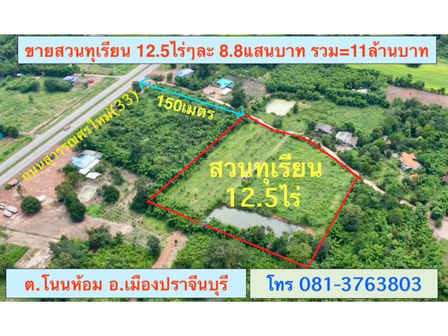 ขายสวนทุเรียน 12.5ไร่ๆละ8.8แสนบาท ทุเรียนให้ผลผลิตแล้ว ต.โนนห้อม อ.เมืองปราจีนบุรี