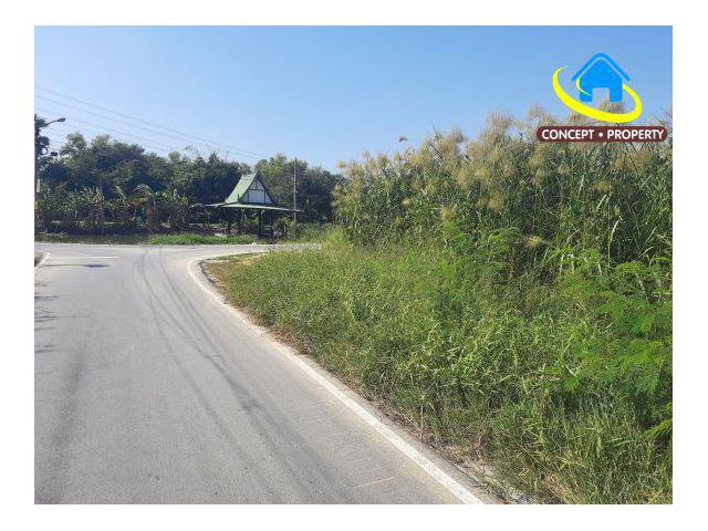 ขายที่ดินทำเลทอง 2 ไร่กว่า ไทรน้อย นนทบุรี [ แบ่งขายได้ ] เหมาะทำโครงการ-อาคารพาณิชย์