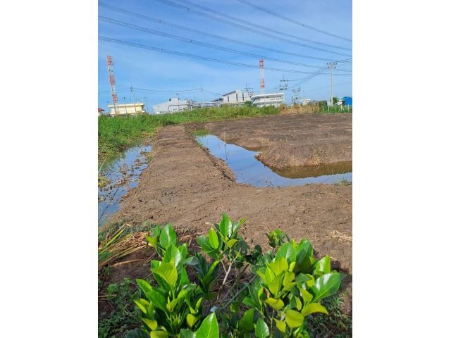 ให้เช่าถูกมาก!! ที่ดิน 5 ไร่ ถมแล้ว ทำเลทอง ติดถนนบ้านกล้วย-ไทรน้อย ใกล้บิ๊กซี ตลาดน้ำ โรงพยาบาลไทรน้อย