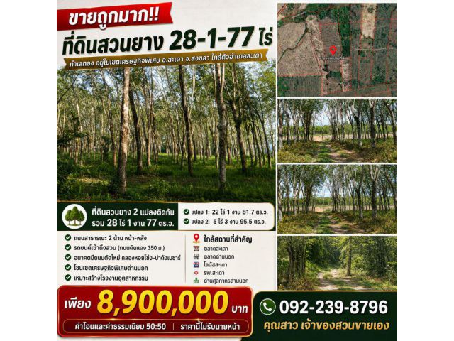 ขายถูกมาก!! ที่ดินสวนยาง 28-1-77 ไร่ ทำเลทองอยู่ในเขตเศรษฐกิจพิเศษ อ.สะเดา จ.สงขลา ใกล้ตัวอำเภอสะเดา