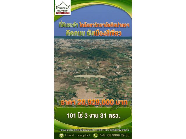 ขายที่ดินชะอำ 101 ไร่ 3 งาน 31 ตรว.ใกล้ ม.ศิลปากรฯ