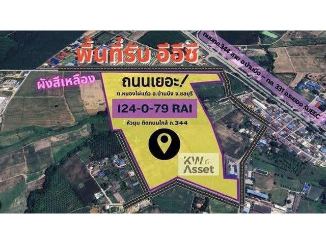 ขายที่ดินสุดปัง 124-0-79 ไร่ สำหรับทำโรงงาน แห่งบ้านบึง ชลบุรี