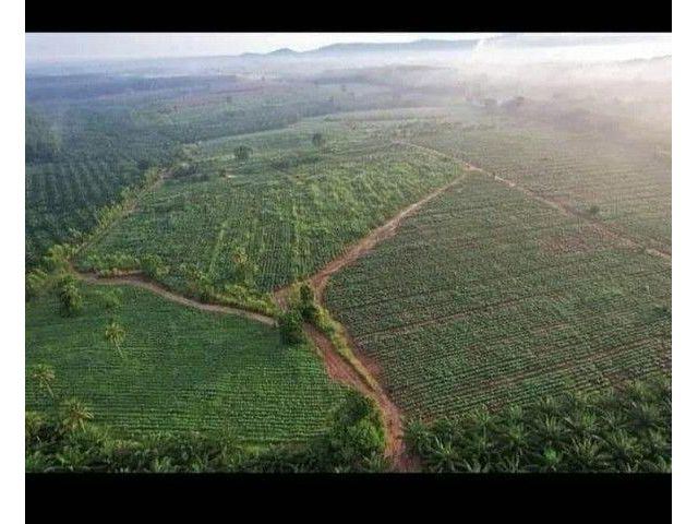 ขายที่ดิน แปลงสวย 1,065 ไร่ ผังสีเหลือง แปลงใหญ่ บ้านบึง ชลบุรี