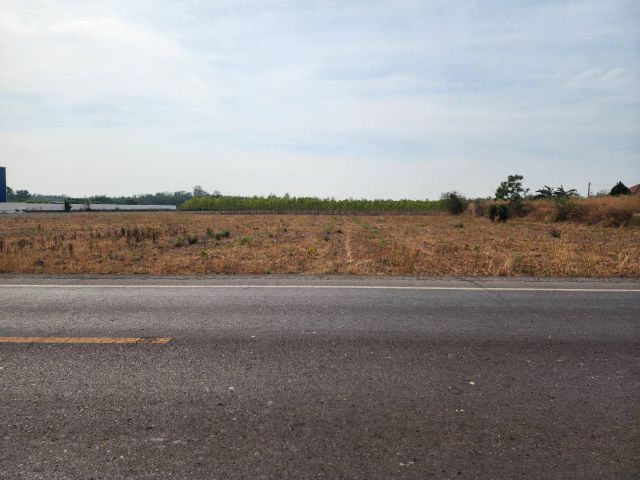L1647 ขายที่ดิน 3 ไร่ หน้ากว้าง 59 เมตร ใกล้นิคมฯโรจนะ ศรีมหาโพธิ ปราจีนบุรี