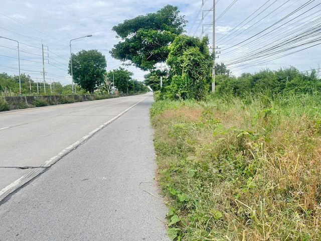 ขายที่ดินถมแล้ว 17 ไร่ แยกนพวงศ์ ลาดหลุมแก้ว ปทุมธานี
