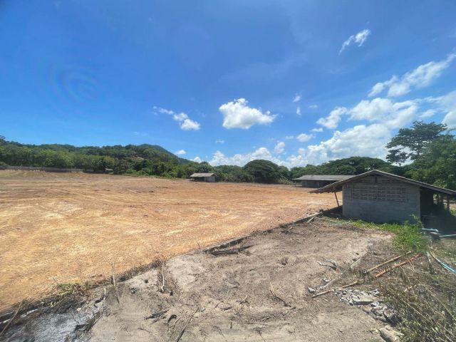 L1657 ขายที่ดิน 16 ไร่ เมืองระยอง