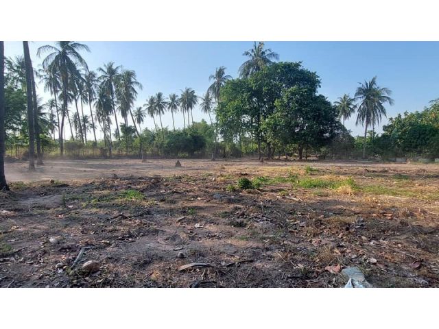 L1659 ขายที่ดินวิวภูเขา 11 ไร่ เมืองชลบุรี