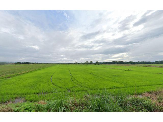 L1663 ขายที่ดิน 3 ไร่ เมืองเพชรบูรณ์