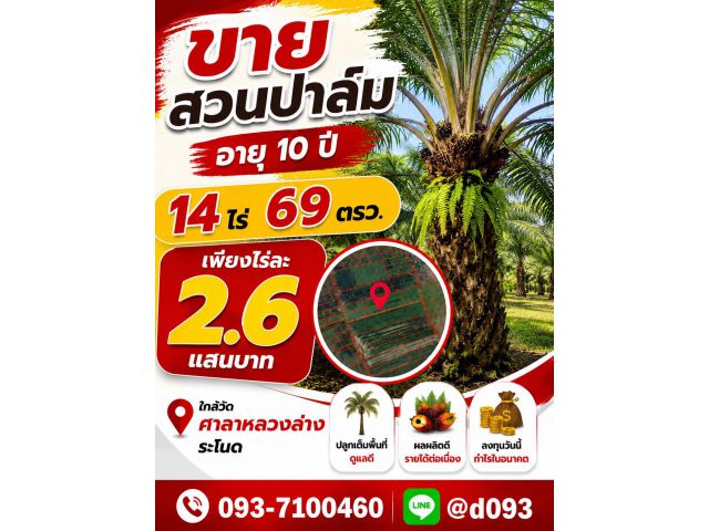 ขายสวนปาล์ม 14 ไร่ ไร่ละ 2.6 แสน