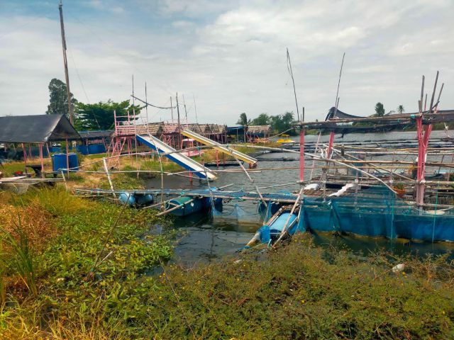 ขายที่ดิน-บ่อสวนน้ำ 34ไร่ เหมา6.5ล้าน.ต.สระพัฒนา อ.กำแพงแสน จ.นครปฐม.ที่สวนน้ำ+สิ่งปลูกสร้าง+อุปกรณ์+ที่ไม่ใช่บ่อ7ไร่