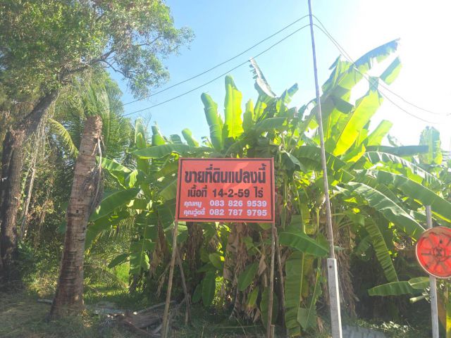 ขายที่ดินเปล่า บางน้ำเปรี้ยว
