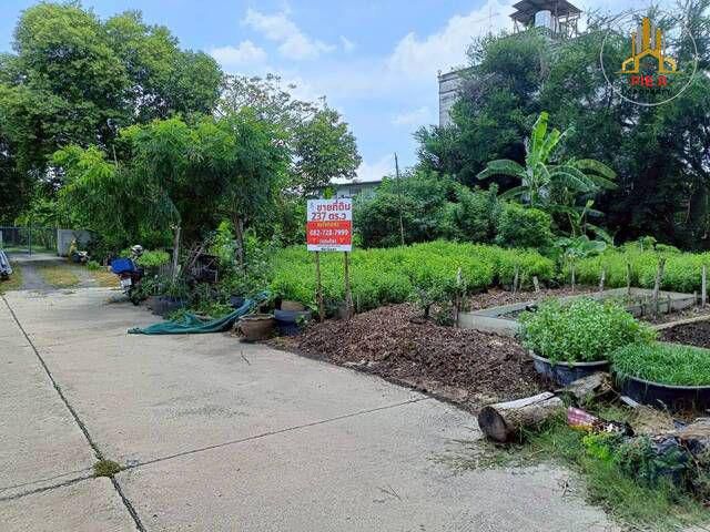 ที่ดินพัฒนาการ-สุขุมวิท77-ศรีนครินทร์ l เดินทางสะดวกใกล้รถไฟฟ้าหลายสาย