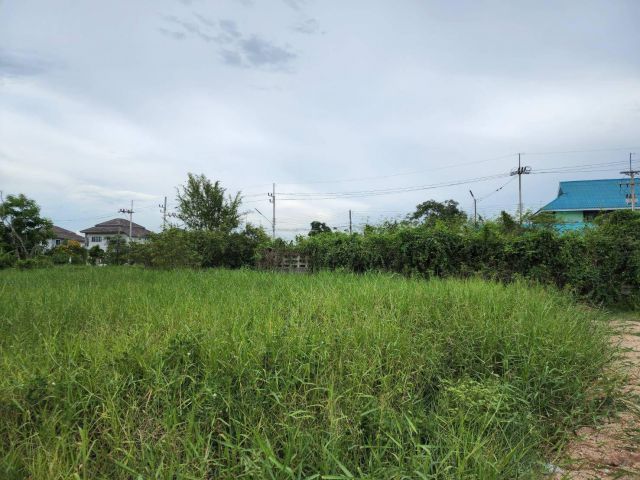 L1697 ขายที่ดิน 60 ตรว พนัสนิคม ชลบุรี