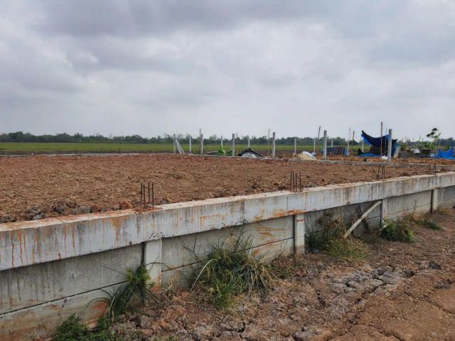 ขาย/ให้เช่า ที่ดินคลอง 4 คลองหลวง 100 ตร.ว. ถมแล้ว+ล้อมรั้วรอบแปลง ใกล้มอเตอร์เวย์ สาย 9 ตลาดไท เหมาะสร้างบ้าน โกดัง
