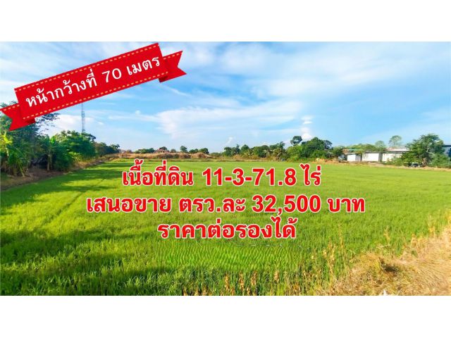 ขายที่ดินบางใหญ่ 11-3-71.8 ติดเทศบาลเมืองเสาธงหิน หน้ากว้าง 70 ม. ทำเลทองใกล้ Westgate เหมาะทำโครงการจัดสรร โชว์รูม