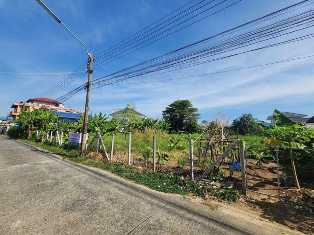 ขายที่ดินจามร ลำลูกกา 336 ตร.ว. ถมแล้วล้อมรั้วลวดหนาม ทำเลไข่แดงหลังสนามกอล์ฟธูปะเตมีย์ เข้า-ออกได้ 2 ซอย ใกล้ BTS คูคต