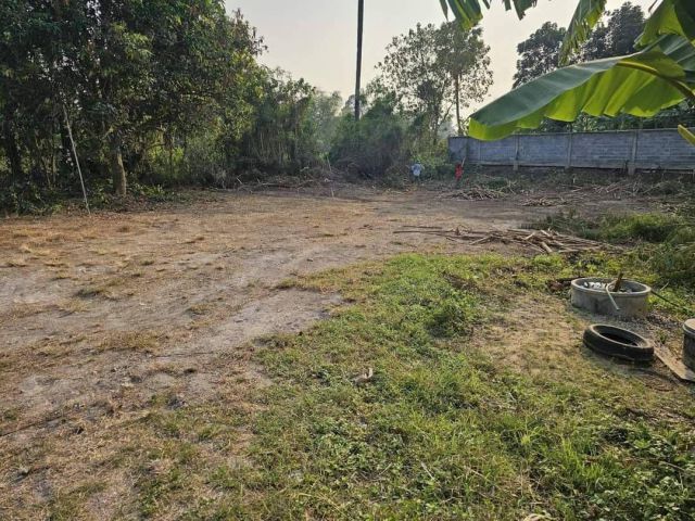 L1701 ขายที่ดิน 289 ตรว เฉลิมพระเกียรติ สระบุรี