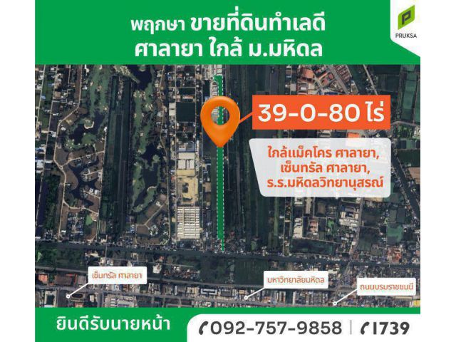 ขายที่ดินแปลงใหญ่ ย่านมหิดล-ศาลายา ทำเลดี