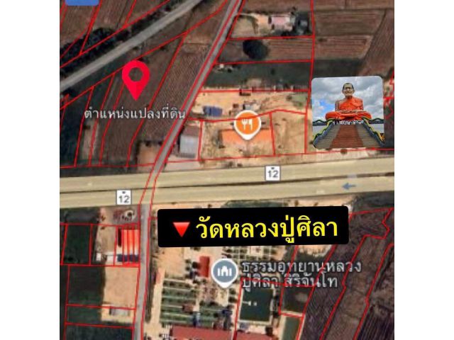 ขายที่ดินทำเลดี  2 ไร่ 1 งาน 31 ตารางวา  กาฬสินธุ์ คุณอบเชย 090-2452070