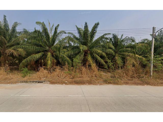 L1718 ขายที่ดิน 2 ไร่ ติดถนน.3138 บ้านบึง ชลบุรี