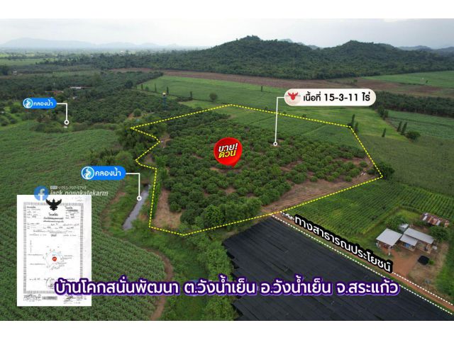 สวนลำไยติดคลองน้ำ 15 ไร่ 3 งาน โฉนด อ.วังน้ำเย็น จ.สระแก้ว โฉนดราคาพิเศษ