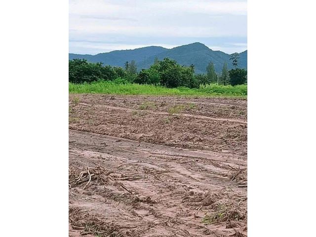 L1726 ขายที่ดิน 5 ไร่ ท่ายาง เพชรบุรี