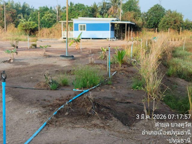 ขายที่ดิน 2ไร่ 86 ตรว. คลอง 12ตำบลนพรัตน์ หนองเสือ จ.ปทุมธานี
