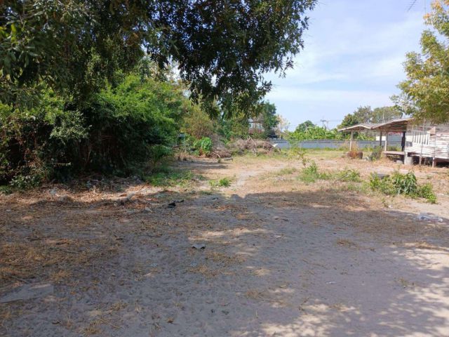 L1729 ขายที่ดิน 150 ตรว ใกล้ถนน.344 เมืองชลบุรี