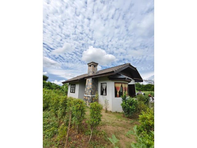 ขายบ้านพร้อมที่ดินวิวสวย เขาใหญ่-ปากช่อง นครราชสีมา 120 ตร.วา 3.5 ล้าน