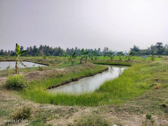 L1737 ขายที่ดิน 3 ไร่ เมืองเพชรบุรี