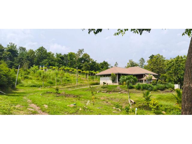 ขายบ้านพร้อมที่ดินเนินสวย 7 ไร่ วิวภูเขา อำเภอเมือง จังหวัดเพชรบูรณ์ (ต.วังชมภู)